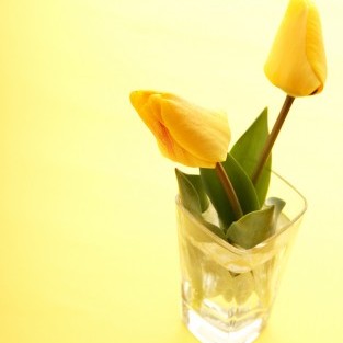 테스트 상품등록입니다.