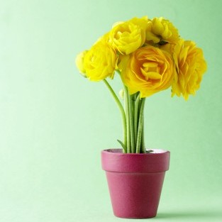 테스트 상품등록입니다.