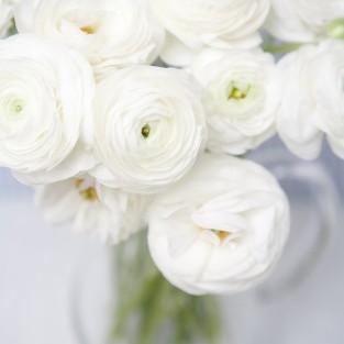 테스트 상품등록입니다.